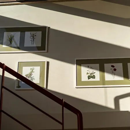 Appartamento Anemi Nauplia